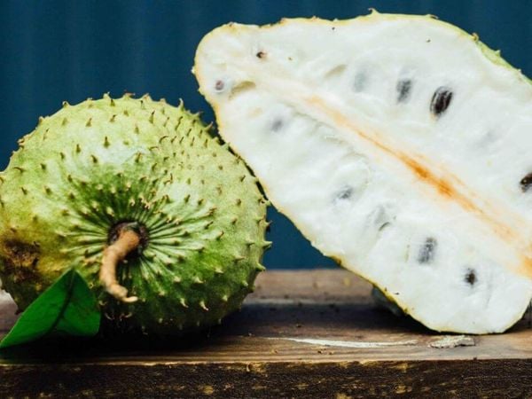 Mãng cầu quá chín sẽ dễ bị nhão và không thể được bảo quản trong ngăn đá trong thời gian dài.