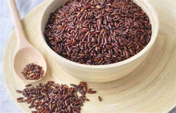 Cách bảo quản cơm gạo lứt Lợi Ích Của Gạo Lứt