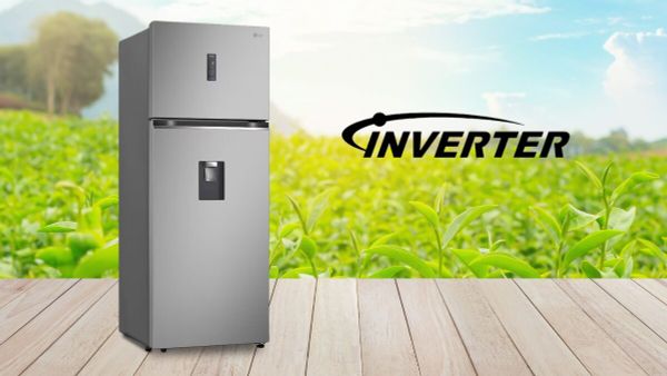 Dung tích 460 lít của tủ lạnh LG LTD46SVMA đủ để đáp ứng nhu cầu lưu trữ thực phẩm của một gia đình trung bình cả tuần.