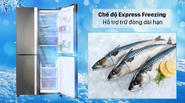 Tủ lạnh Sharp SJ-SBXP600V-BK có công nghệ khử mùi tiên tiến giúp ngăn ngừa mùi hôi