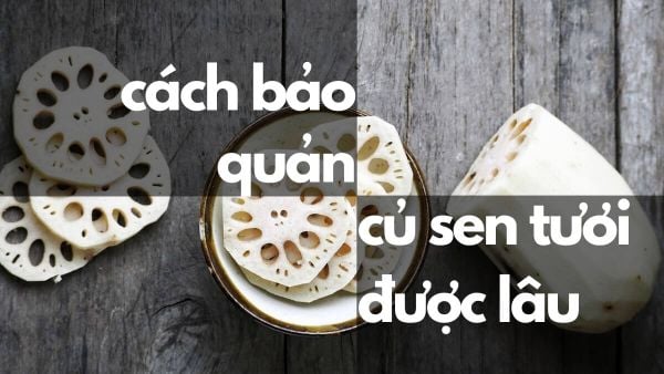 Chuẩn Bị Củ Sen tươi