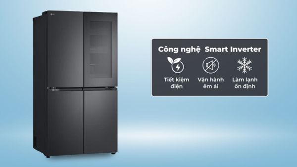 Tủ lạnh LG LFB61BLGAI có dung tích 617 lít phù hợp với gia đình từ 4 đến 6 người.