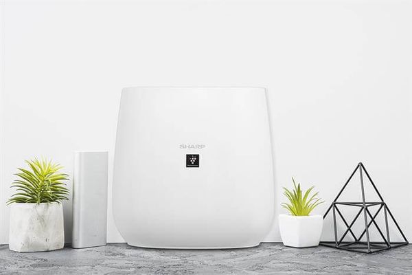 Với thiết kế nhỏ gọn, máy lọc không khí Sharp FP-J30E-B có thể đặt ở nhiều vị trí trong nhà mà không chiếm quá nhiều diện tích.