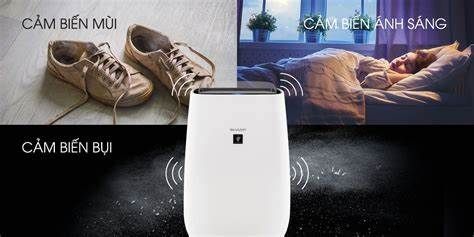 Công nghệ lọc không khí tiên tiến của Máy lọc không khí Sharp FP-J40E-W