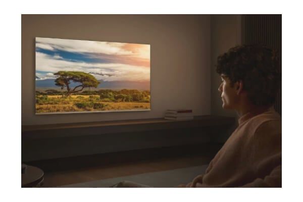 Google Tivi TCL 43 Inch 4K 43P635