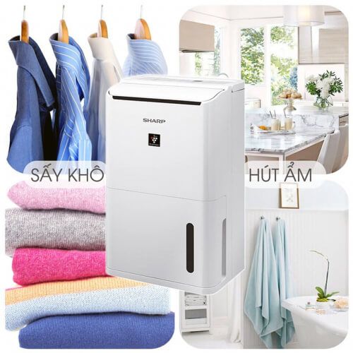 Máy hút ẩm Sharp DW-D20A-W không chỉ hút ẩm mà còn có bộ lọc không khí tiên tiến để loại bỏ bụi bẩn, phấn hoa, lông thú cưng và các tác nhân gây dị ứng khác từ không khí.
