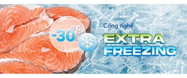 Tủ đông Hòa Phát thiết hiệu suất làm mát của sản phẩm