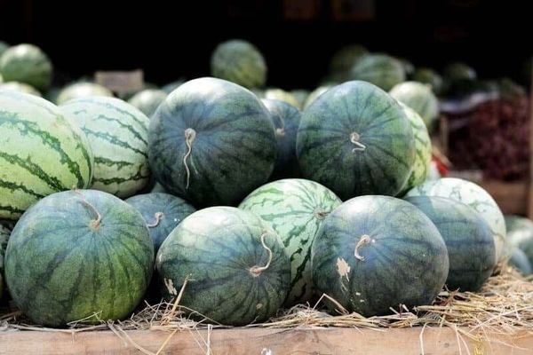 Sau khi cắt dưa hấu, đặt chúng vào tủ lạnh ngay, tránh để chúng ở nhiệt độ phòng quá lâu.