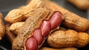 Cách chọn Lạc Tươi Ngon
