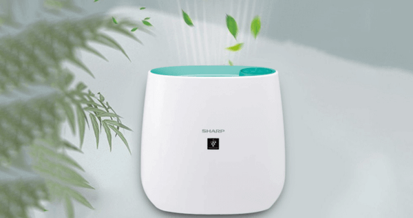 Sharp FP-J30E-B giúp cải thiện chất lượng không khí trong phòng, đặc biệt hiệu quả trong việc loại bỏ các tác nhân gây dị ứng