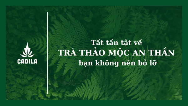 Tất tần tật về trà thảo mộc an thần mà bạn không nên bỏ lỡ