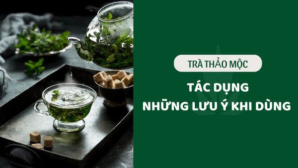 Trà thảo mộc có tác dụng gì? Những lưu ý khi uống trà thảo mộc