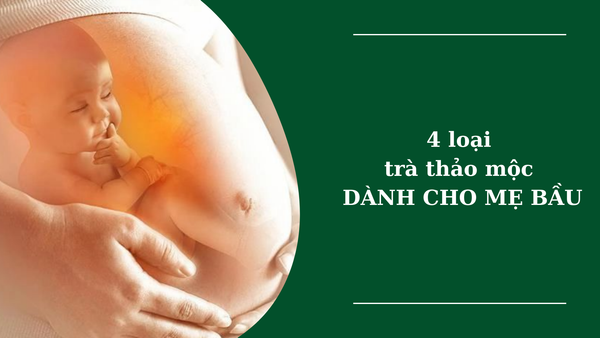 4 loại trà thảo mộc bà bầu nên dùng cho thai kỳ khỏe mạnh