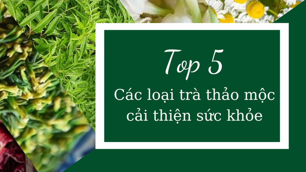 Top 5 các loại trà thảo mộc giúp cải thiện sức khỏe