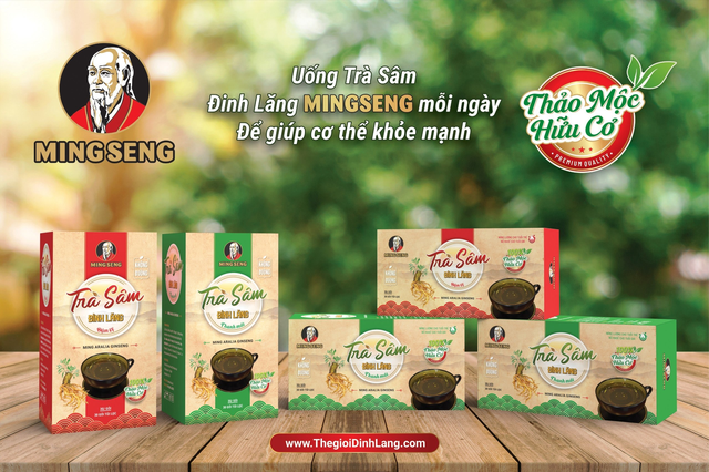 Trà sâm đinh lăng – sản phẩm cho người Việt