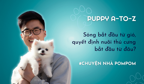 Tập 1: Sóng bắt đầu từ gió, quyết định nuôi thú cưng bắt đầu từ đâu?