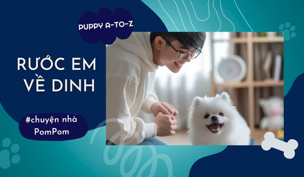 Tập 3: Rước em về dinh - Ngày đầu rước cún con về nhà, con sen cần chuẩn bị gì đây ta?