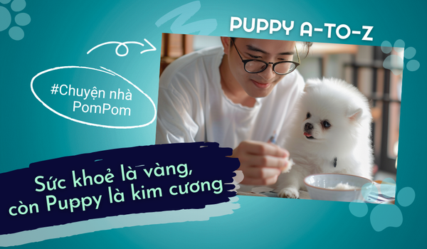 Tập 4: Sức khoẻ là vàng, còn Puppy là kim cương!