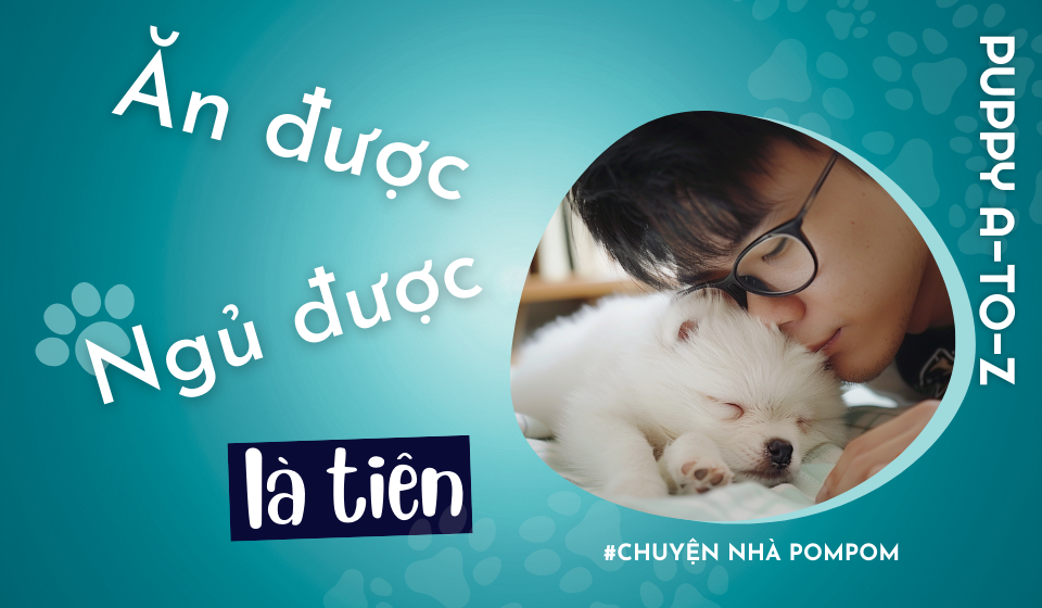 Tập 5: ăn được ngủ được là tiên