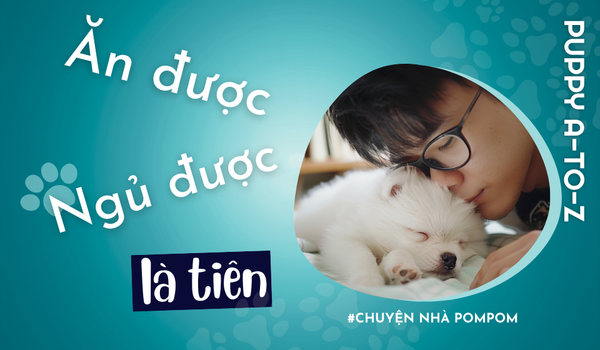 Tập 5: ăn được ngủ được là tiên