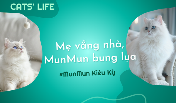 Tập 1: Mẹ vắng nhà, MunMun bung lụa