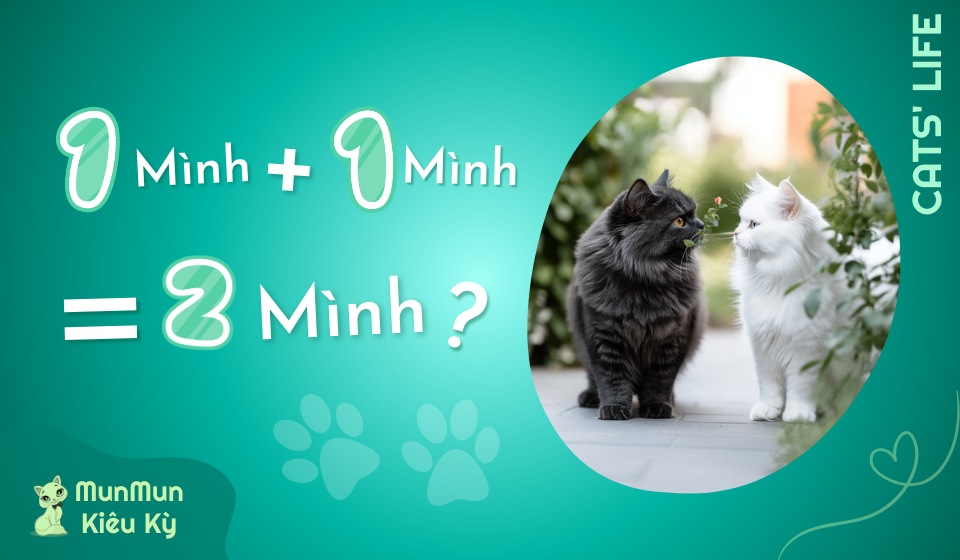 Tập 3: Một mình + Một mình = Hai mình?