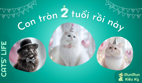 Tập 5: Con tròn 2 tuổi rồi này!
