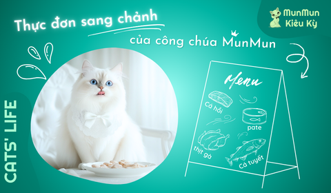 Tập 6: Thực đơn sang chảnh của công chúa MunMun