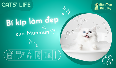 Tập 7: Bí kíp làm đẹp của MunMun