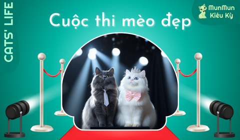 Tập 8: Cuộc thi mèo đẹp