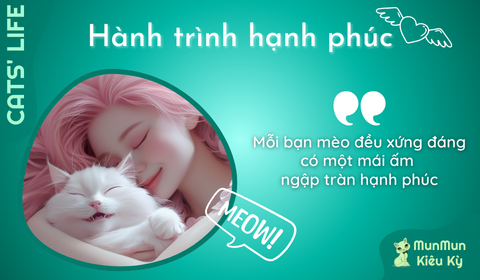 Tập 9: Hành trình hạnh phúc
