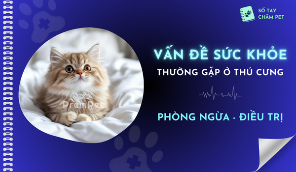 [Pet Health] Các Vấn Đề Sức Khỏe Thường Gặp Ở Thú Cưng - Phòng Ngừa và Điều Trị