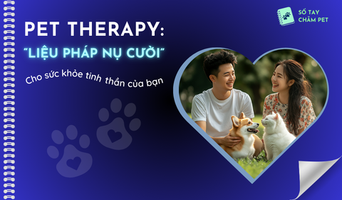 [Pet Love] “Liệu pháp nụ cười” cho sức khỏe tinh thần của bạn