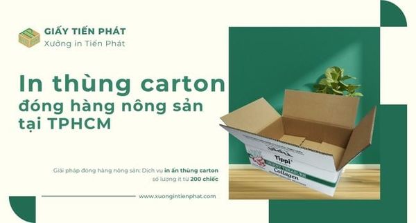 Tổng kho cung cấp hộp giấy đóng hàng giá rẻ, chất lượng tại TPHCM
