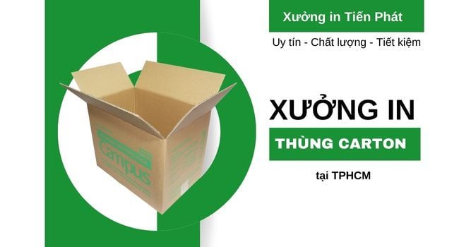 10+ Công ty bao bì giấy chất lượng tại TPHCM tháng 4/2025