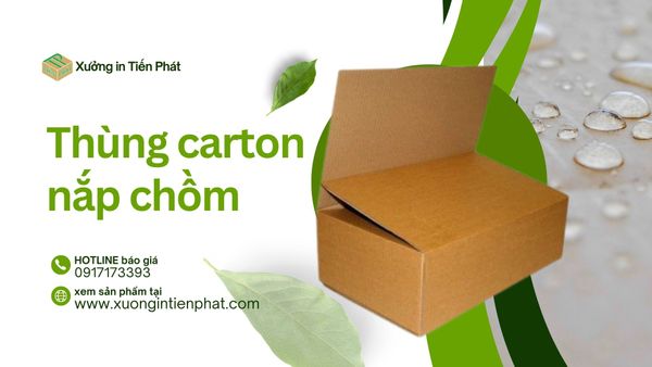 Những ưu điểm của thùng nắp chồm so với thùng carton thường