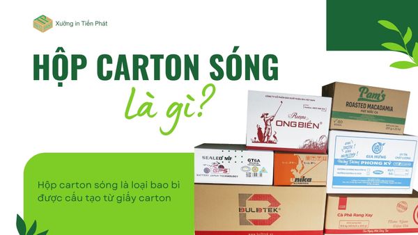 Hộp carton sóng là gì? Vì sao nên chọn hộp carton sóng để đóng hàng?