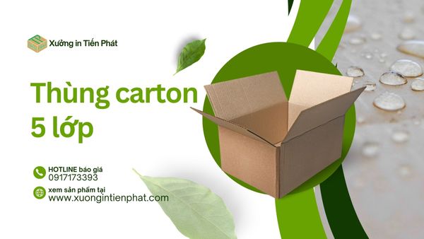 Thùng carton 5 lớp: Cấu tạo và ứng dụng