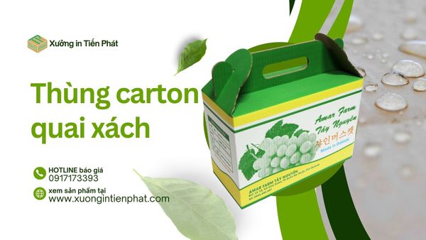 Đặc điểm của hộp carton có quai xách: tiện lợi, in ấn thương hiệu