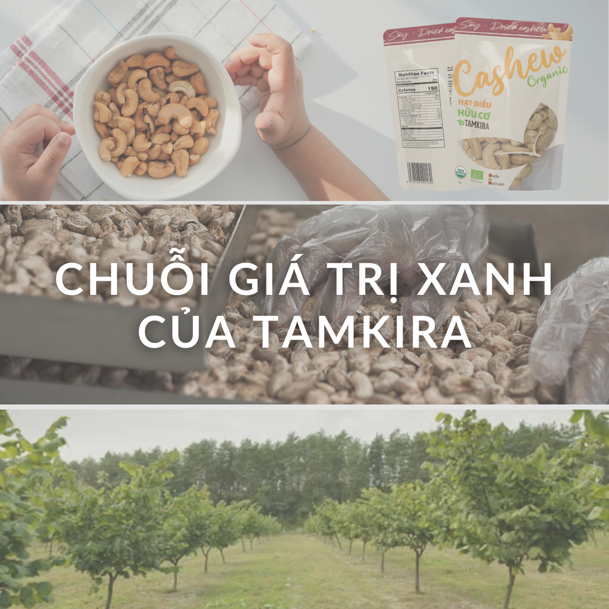 Chuỗi Giá Trị Xanh Của TAMKIRA