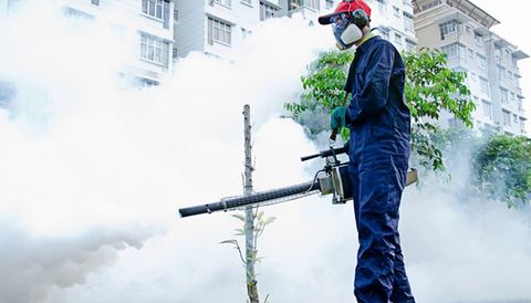 Dịch vụ diệt côn trùng chung cư, tòa nhà cao tầng cao cấp
