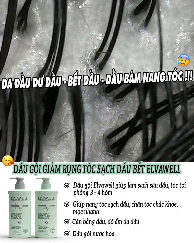 dau-goi-elvawell-sach-sau