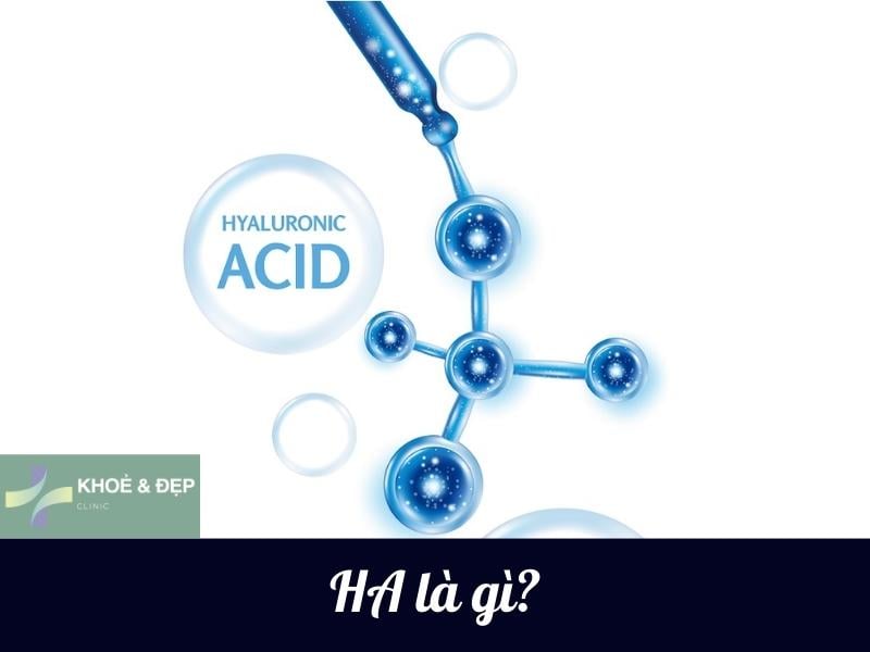 HA là gì? Công dụng của Hyaluronic Acid đối với da?