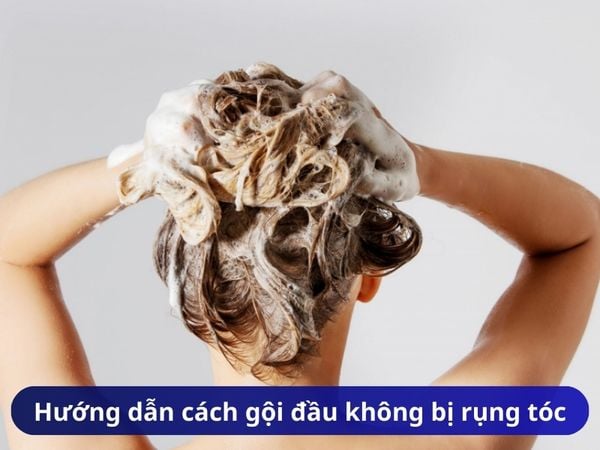 Hướng dẫn cách gội đầu không bị rụng tóc