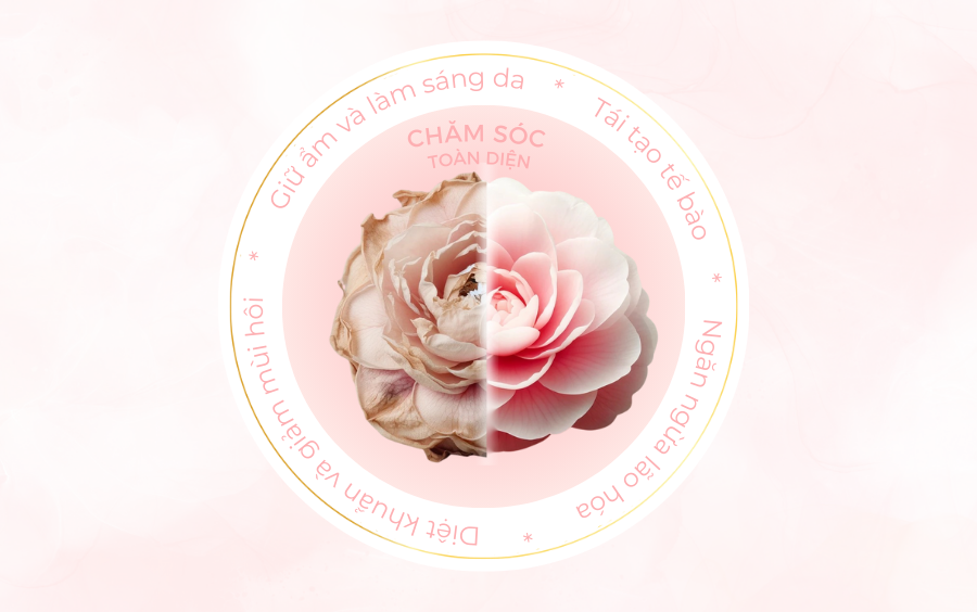 Chăm Sóc Toàn Diện Vùng Kín