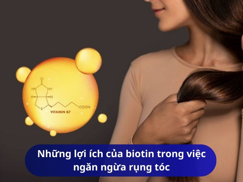 Những lợi ích của biotin trong việc ngăn ngừa rụng tóc