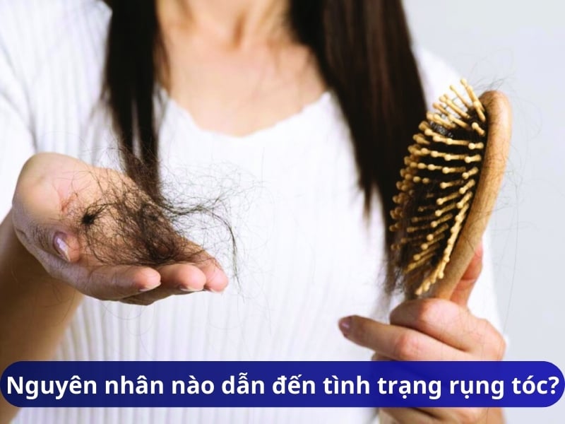 Nguyên nhân nào dẫn đến tình trạng rụng tóc?