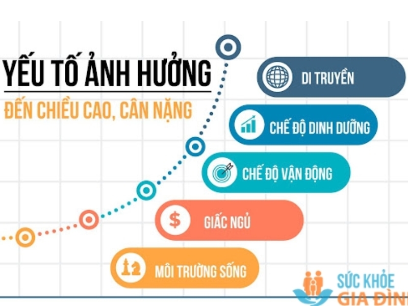 Các yếu tố ảnh hưởng đến chỉ số BMI
