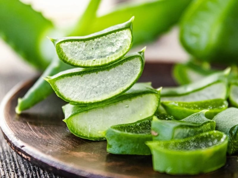 Cách trị thâm bẹn mông bằng lô hội (nha đam)