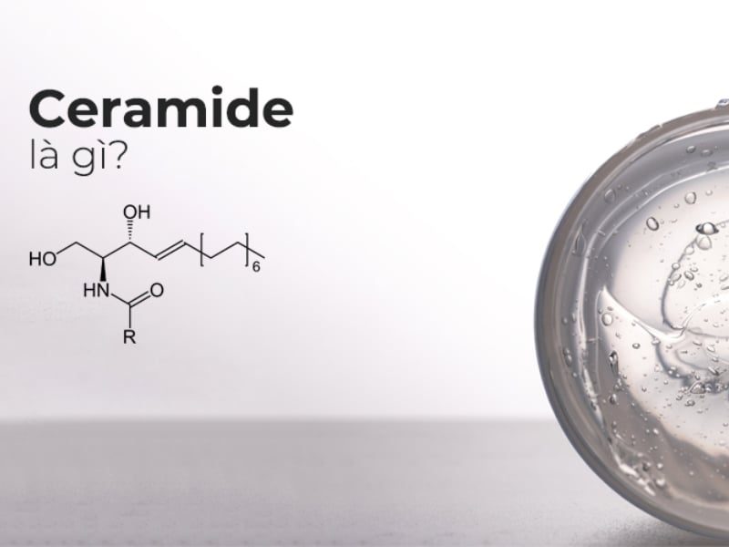 Ceramide